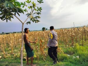 Polsek Padangan Perkuat Ketahanan Pangan Melalui Pendampingan Petani